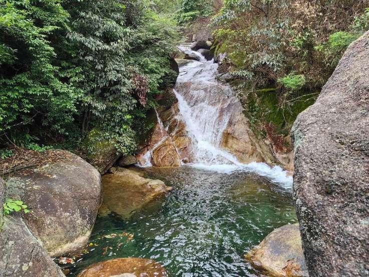 小猫钓鱼游戏龙王版有船